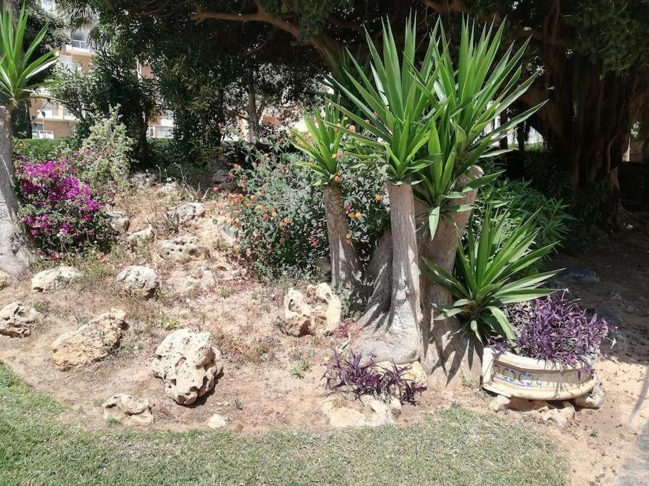 Acogedor,Apartamento.Piscina, Vistas, Terraza Benalmádena Εξωτερικό φωτογραφία